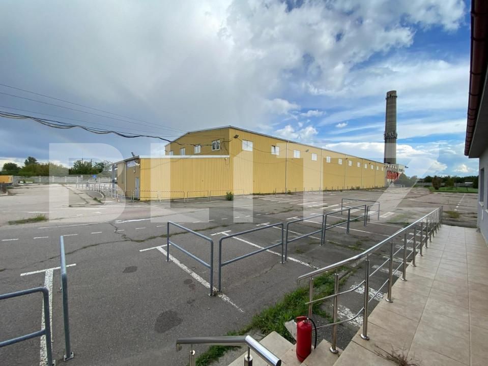 Spațiu industrial de vânzare Freidorf - 140556SVI | BLITZ Timișoara | Poza15
