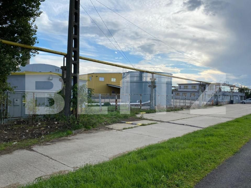 Spațiu industrial de vânzare Freidorf - 140556SVI | BLITZ Timișoara | Poza17