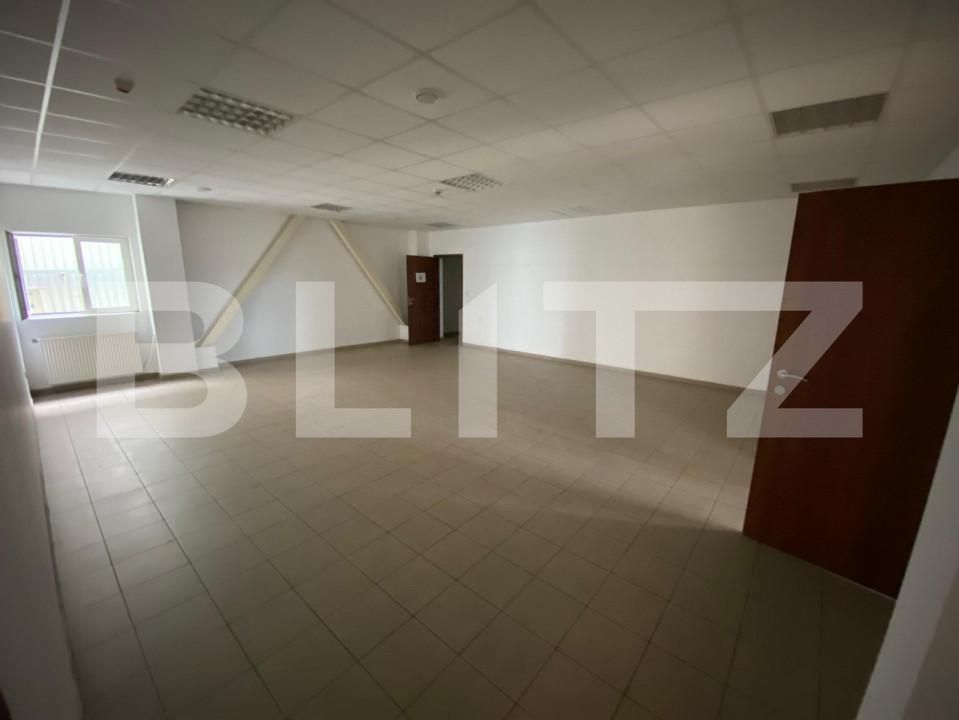 Spațiu industrial de vânzare Freidorf - 140556SVI | BLITZ Timișoara | Poza2