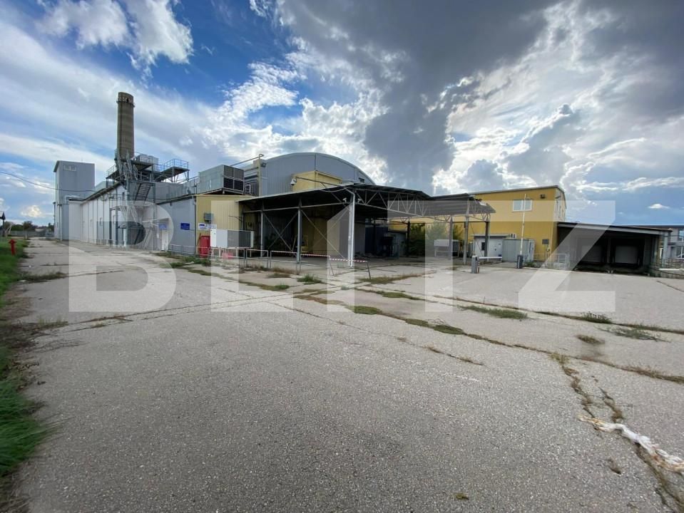 Spațiu industrial de vânzare Freidorf - 140556SVI | BLITZ Timișoara | Poza1