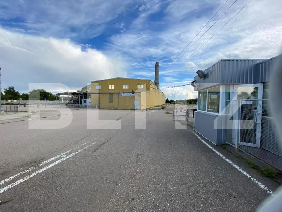 Spațiu industrial de vânzare Freidorf - 140556SVI | BLITZ Timișoara | Poza16