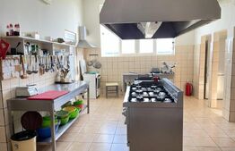 Afacere la cheie! Pensiune cu restaurant la DN7, 22 camere, teren 10000 mp!