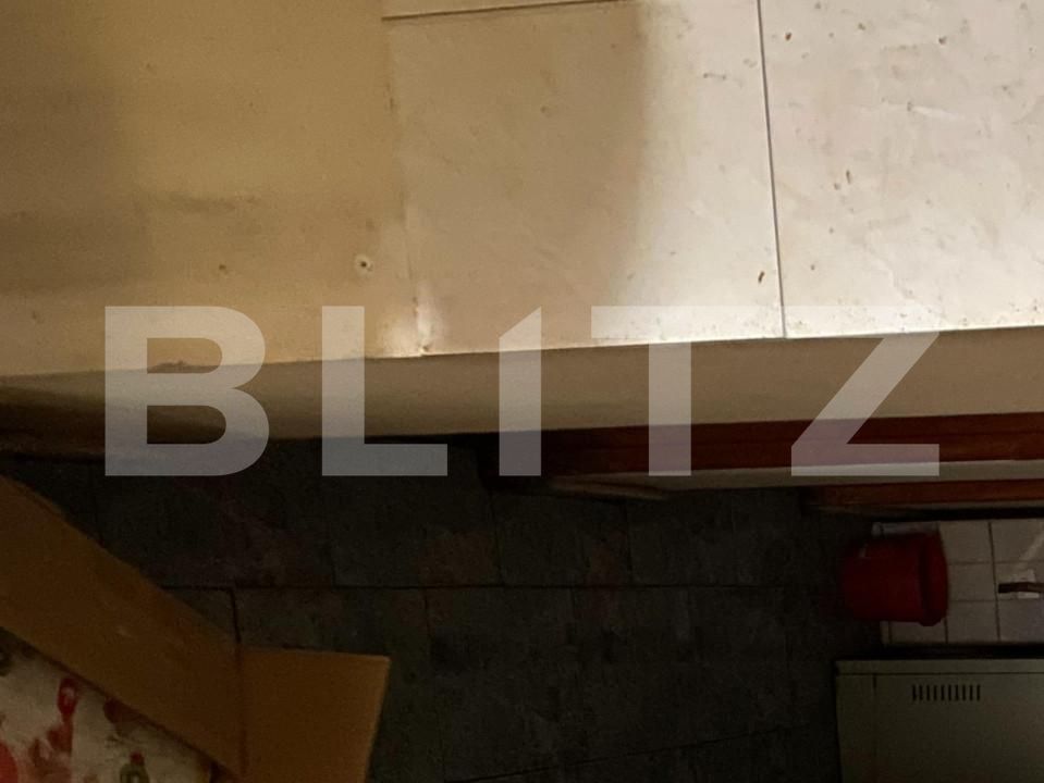 Spațiu comercial de vânzare Cetatii - 140560SVC | BLITZ Timișoara | Poza6