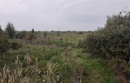 Teren de 39600 mp, PUZ, lângă Staţia de Epurare 