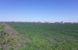 Teren cu suprafață de 3 ha, front 52 m, zona Calea Aradului