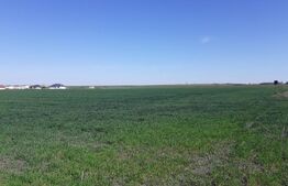 Teren de vânzare Braytim - 158772TV | BLITZ Timișoara | Poza4