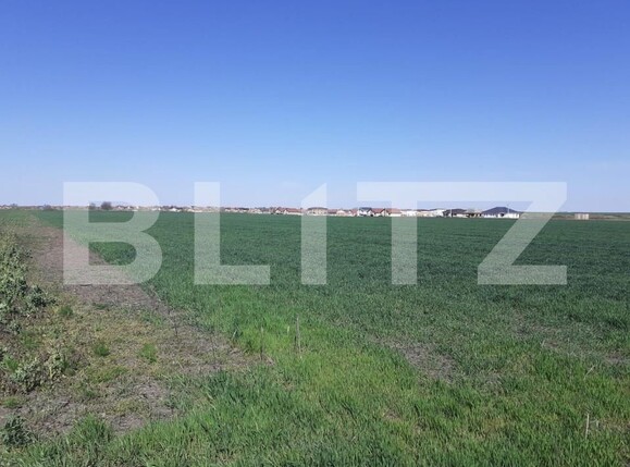 Teren de vânzare Exterior Nord - 140567TV | BLITZ Timișoara | Poza3