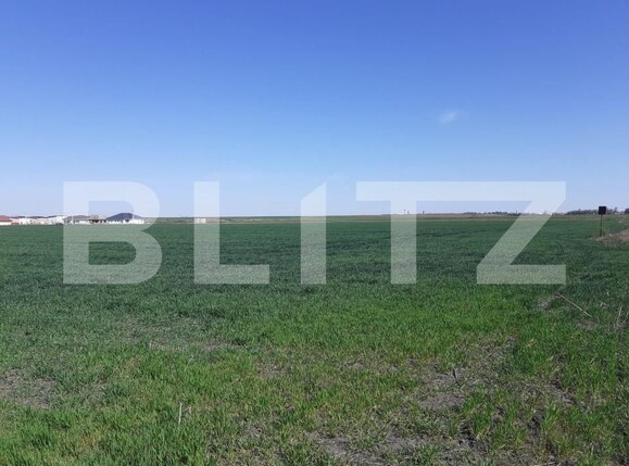 Teren de vânzare Exterior Nord - 140567TV | BLITZ Timișoara | Poza1