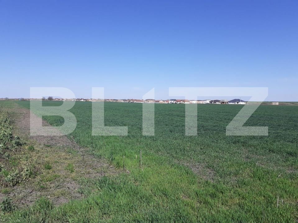 Teren de vânzare Exterior Nord - 140567TV | BLITZ Timișoara | Poza3