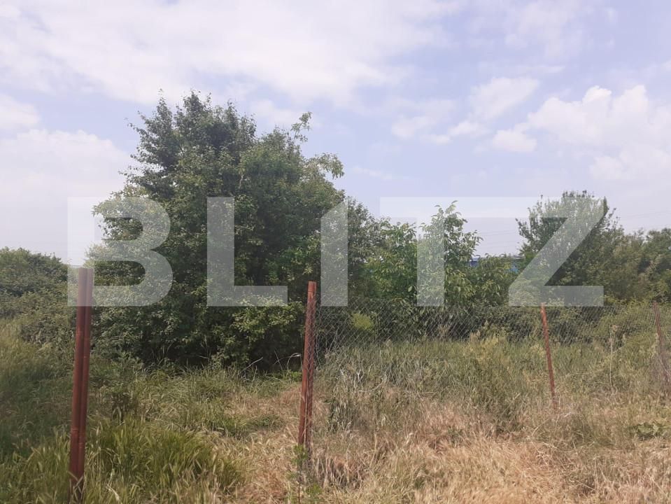 Teren de vânzare Sagului - 140580TV | BLITZ Timișoara | Poza2