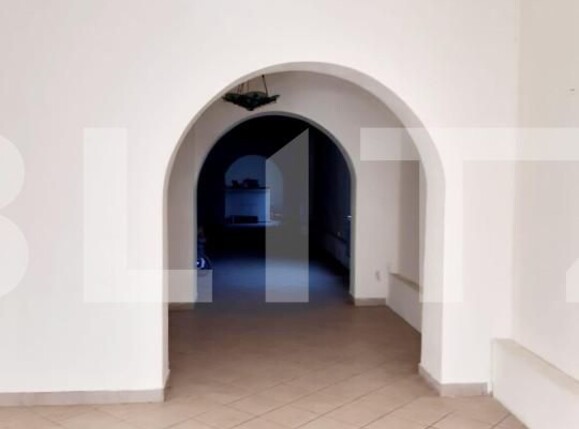 Spațiu comercial de închiriat Central - 140582SIC | BLITZ Timișoara | Poza1