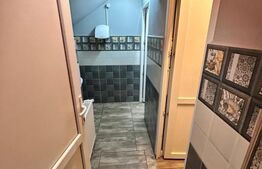 Spatiu comercial, 450 mp, P + 1, în Complexul Studentesc