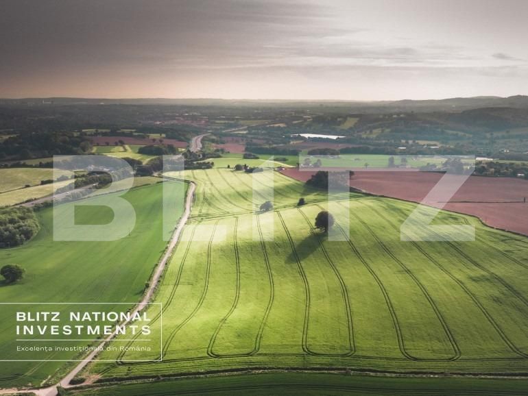 Spațiu industrial de vânzare Central - 140589SVI | BLITZ Timișoara | Poza6