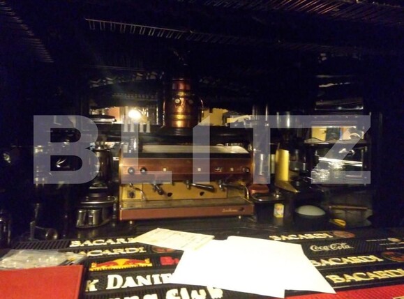 Spațiu comercial de vânzare P-ta Unirii - 140590SVC | BLITZ Timișoara | Poza3