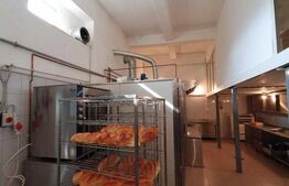 Spațiu comercial cu suprafață de 117 mp și teren aferent de 140 mp 