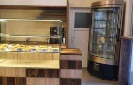 Spațiu comercial cu suprafață de 117 mp și teren aferent de 140 mp 