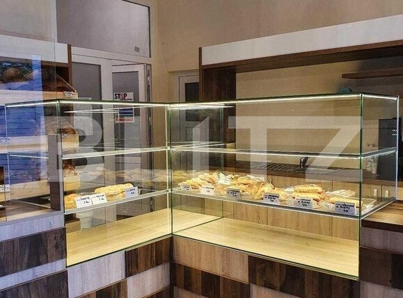 Spațiu comercial de vânzare Take Ionescu - 140596SVC | BLITZ Timișoara | Poza3