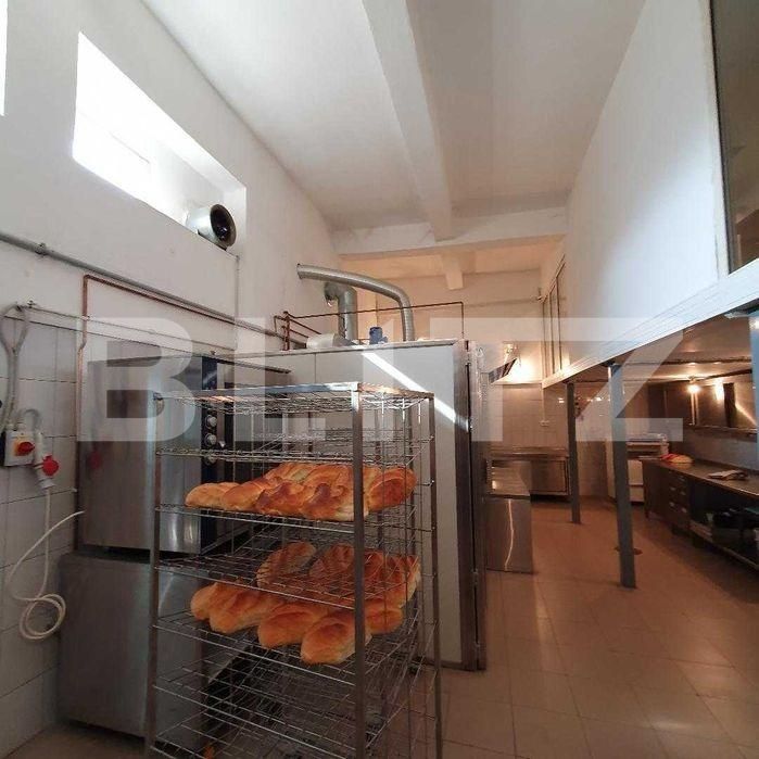 Spațiu comercial de vânzare Take Ionescu - 140596SVC | BLITZ Timișoara | Poza5