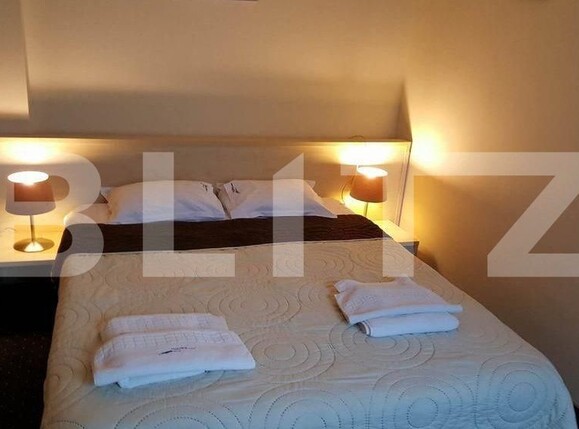 Spațiu comercial de vânzare Badea Cartan - 140597SVC | BLITZ Timișoara | Poza2