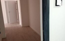 Penthouse 3 camere, decomandat, 83 mp, 251mp terase, Plopi