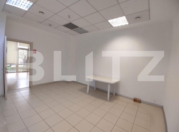 Spațiu comercial de închiriat Cetatii - 140635SIC | BLITZ Timișoara | Poza4