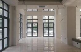 Cladire multifunctionala, parcare subterana, zona Take Ionescu