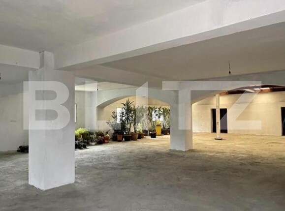 Spațiu comercial de închiriat Sagului - 140645SIC | BLITZ Timișoara | Poza2