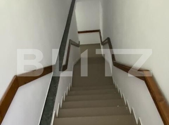 Spațiu comercial de închiriat Blascovici - 140647SIC | BLITZ Timișoara | Poza15