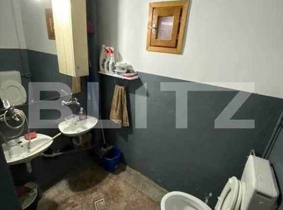 Spațiu comercial de închiriat Blascovici - 140647SIC | BLITZ Timișoara | Poza3