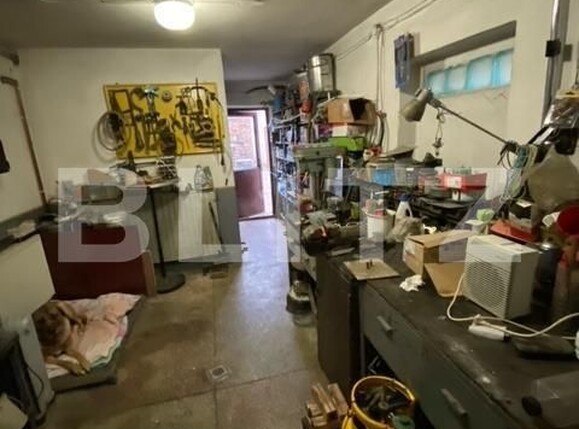 Spațiu comercial de închiriat Blascovici - 140647SIC | BLITZ Timișoara | Poza17