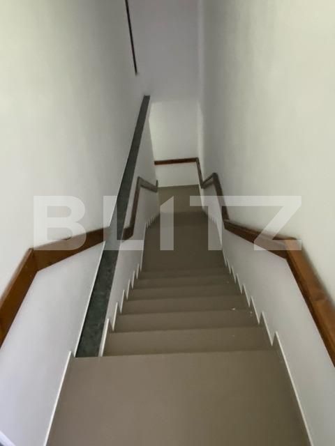 Spațiu comercial de închiriat Blascovici - 140647SIC | BLITZ Timișoara | Poza15