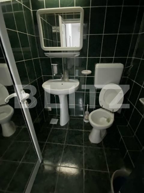 Spațiu comercial de închiriat Blascovici - 140647SIC | BLITZ Timișoara | Poza19