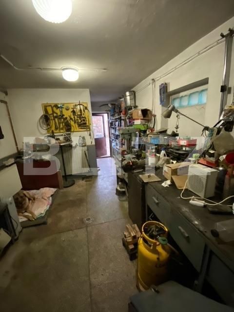 Spațiu comercial de închiriat Blascovici - 140647SIC | BLITZ Timișoara | Poza17