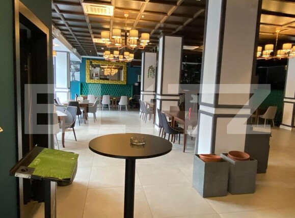 Spațiu comercial de închiriat Central - 140651SIC | BLITZ Timișoara | Poza2