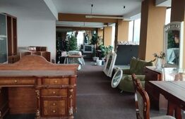 Inchiriez spatiu comercial de 350mp2 pe Calea Aradului 