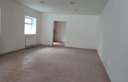 Spatiu comercial de inchiriat, zona Take Ionescu 