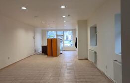 Spatiu comercial de inchiriat, zona Take Ionescu 