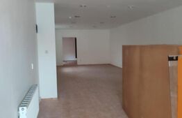 Spatiu comercial de inchiriat, zona Take Ionescu 