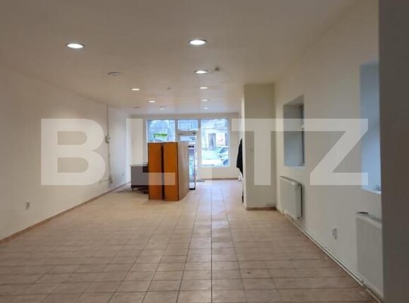 Spațiu comercial de închiriat Take Ionescu - 140654SIC | BLITZ Timișoara | Poza1