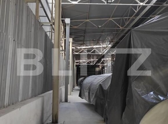Spațiu industrial de închiriat Exterior Nord - 140658SII | BLITZ Timișoara | Poza4