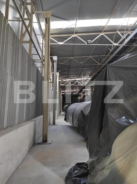 Spațiu industrial de închiriat Exterior Nord - 140658SII | BLITZ Timișoara | Poza4