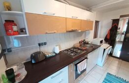 Apartament de 2 camere, 44 mp utili, Lugojului