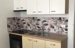 Apartament 2 camere, 55 mp , zona Centrala