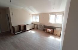 Apartament 2 camere, 55mp, zona Centrala