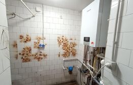 Casa de inchiriat, cu doua apartamente, 150mp utili, cocheta, in Lipovei