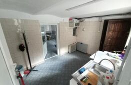 Casa de inchiriat, cu doua apartamente, 150mp utili, cocheta, in Lipovei