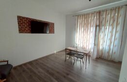 Casa de inchiriat, cu doua apartamente, 150mp utili, cocheta, in Lipovei