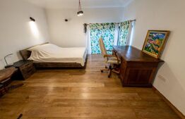 Casa individuala, 280mp utili 734mp teren, Iosefin-Dambovita