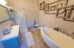 Casa individuala, 280mp utili 734mp teren, Iosefin-Dambovita