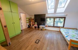 Casa individuala, 280mp utili 734mp teren, Iosefin-Dambovita